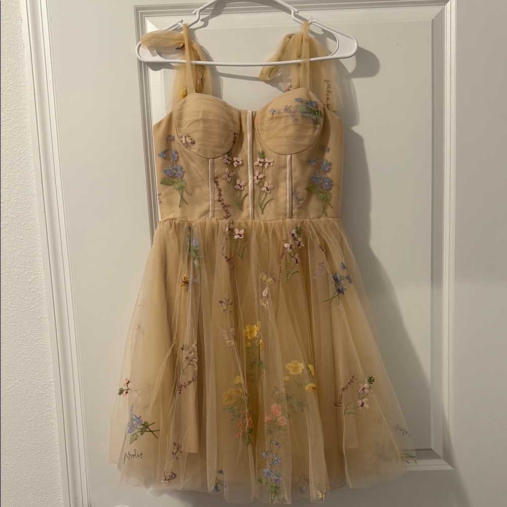 Floral Embroidered Dress